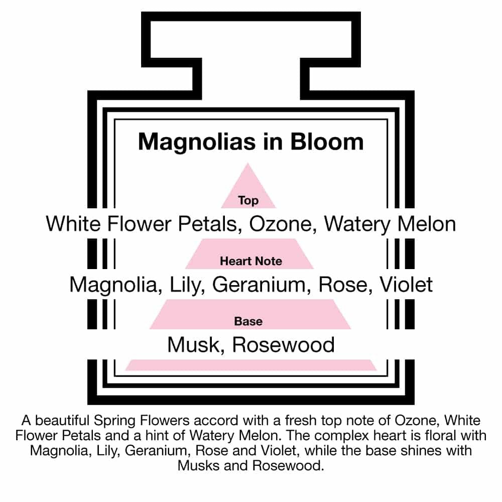 pairfum london luxury reed diffuser classic magnolias in bloom 100ml +10 reeds